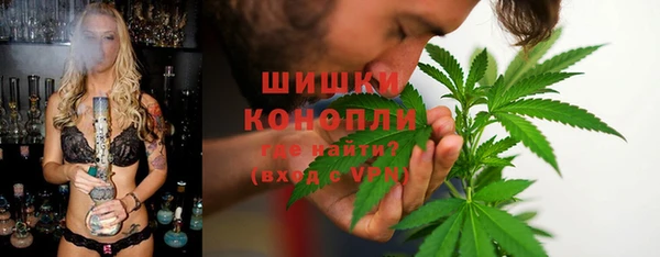 apvp Алексин