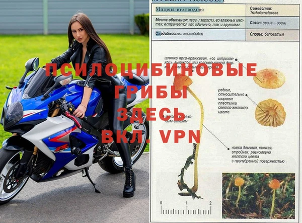 синтетический гашиш Алзамай